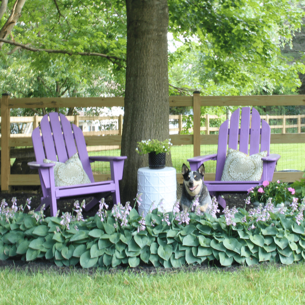 Two adirondack chairs in front of a paddock fence