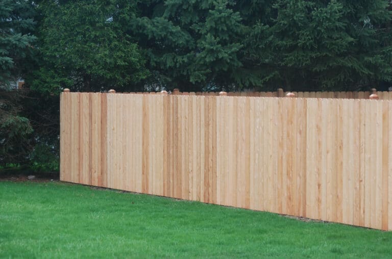 A privacy fence in a grassy yard