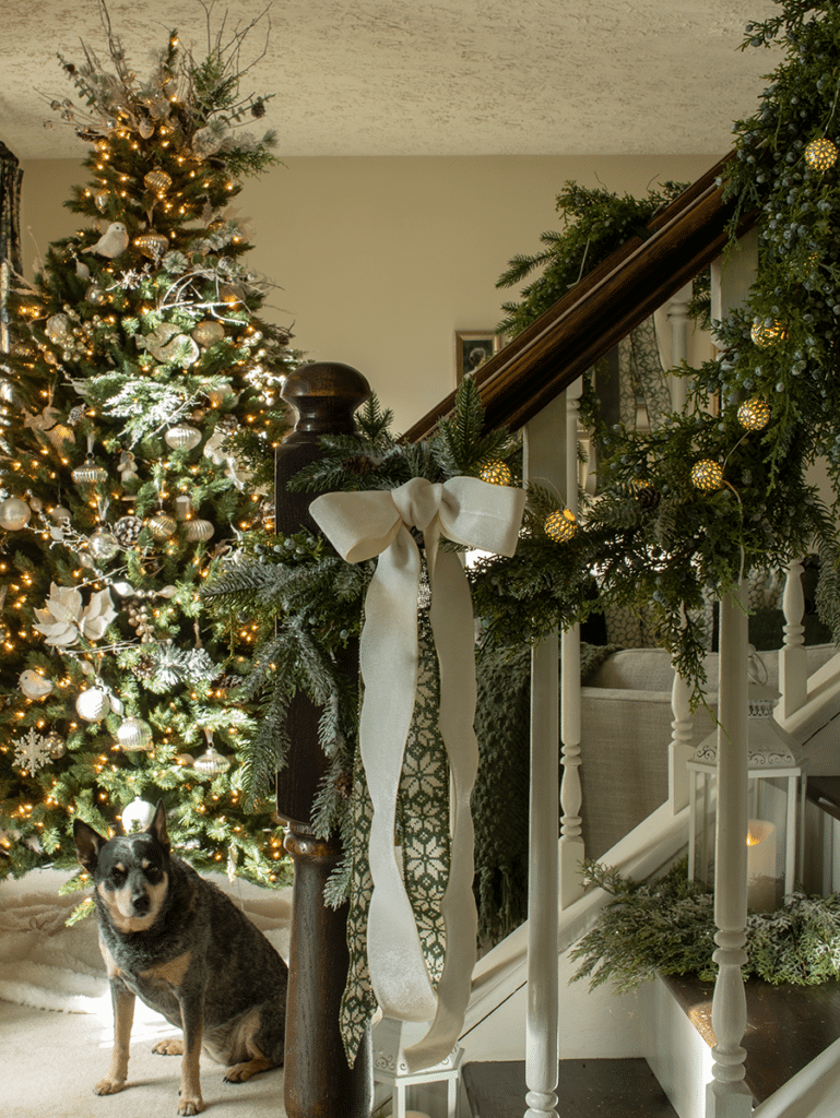 Banister and Christmas tree with an Australian Cattle dog