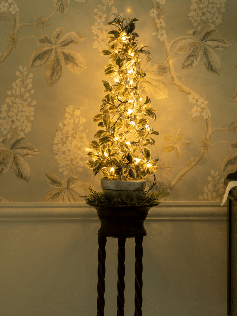 A mistletoe tree with lights on a plant stand