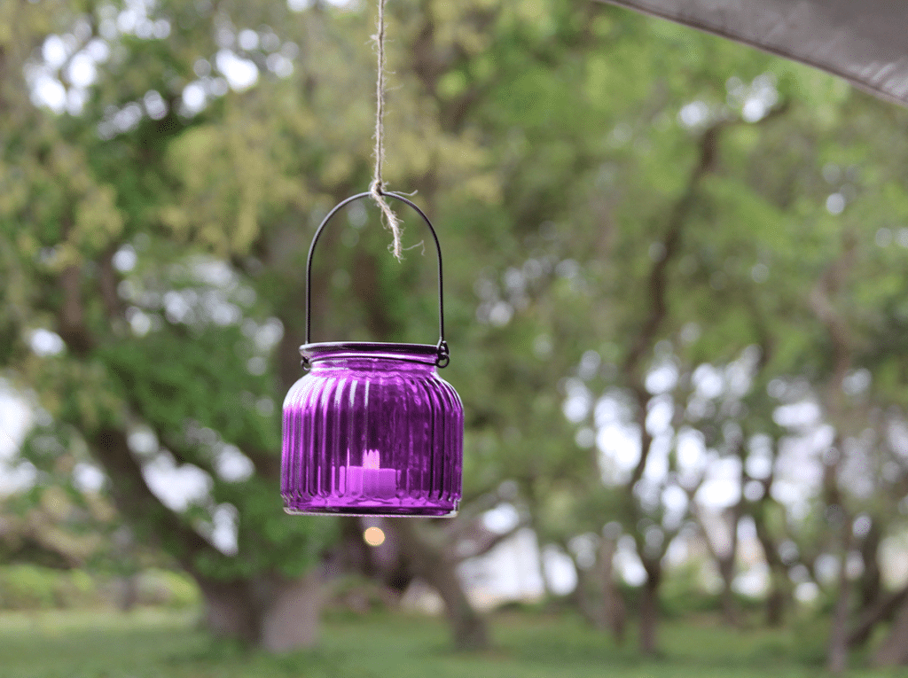 A purple lantern in a tree as decor for a beach wedding.