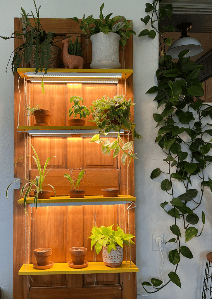 An herb garden made out of a repurposed door