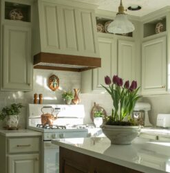 Painted kitchen cabinets