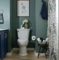 An updated cottage bathroom