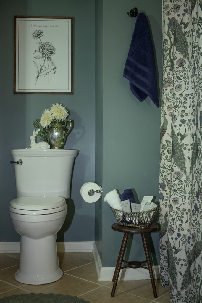 An updated guest bathroom showing a new toilet