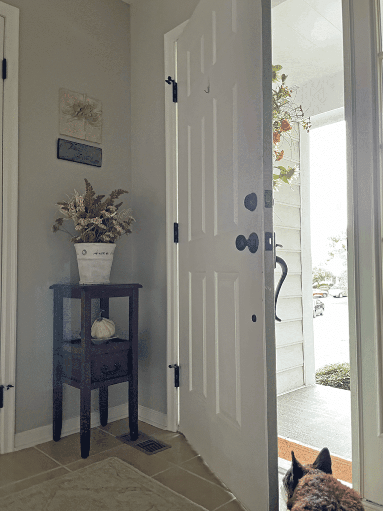 A front door painted white surrounded by neutral walls